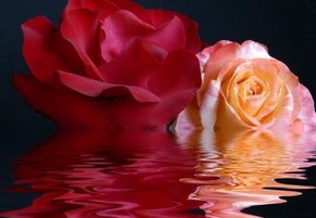 ����� � ��� ��, �������... ���� ��� ���� ����������!�
